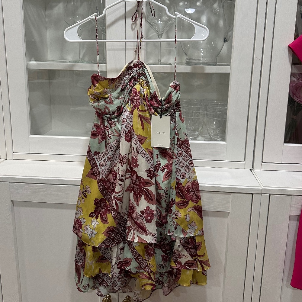 Alexis Irati Dress in Berry Foulard